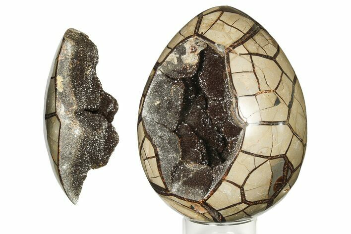 Polished Septarian Puzzle Geode - Black Crystals #191407